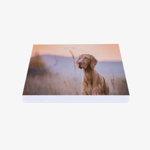 Photo on white marble coaster