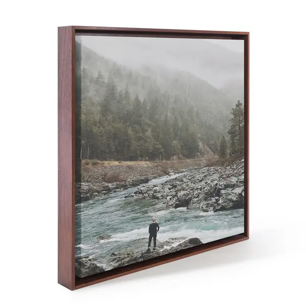Framed gallery quality canvas print