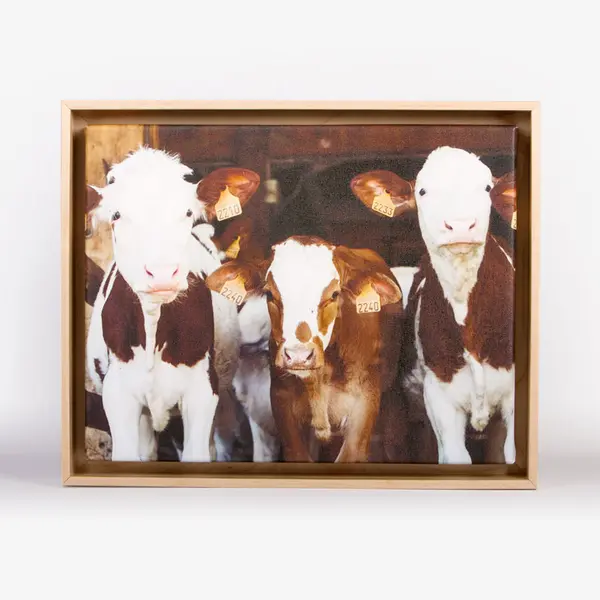 Canvas print in a frame