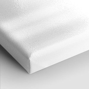 Rich colors on high-gloss fine art canvas.