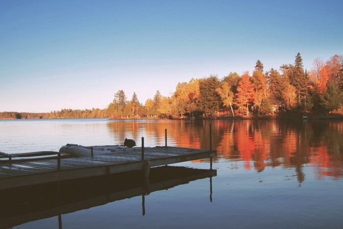 Capturing Autumn: Tips for Photographing Fall Foliage | Personalized ...