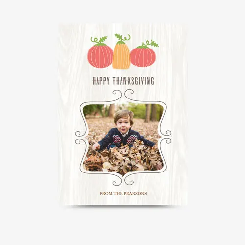 Thanksgiving | Pumpkin Patch